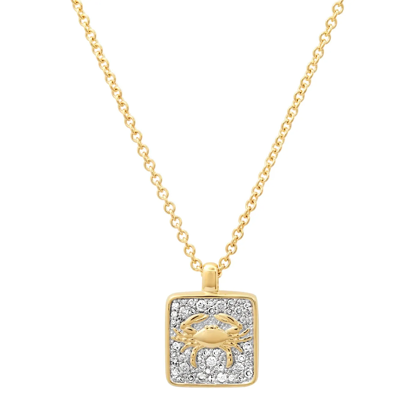 Diamond Zodiac Necklace